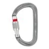 Petzl AM'D Screw-lock Karabiner