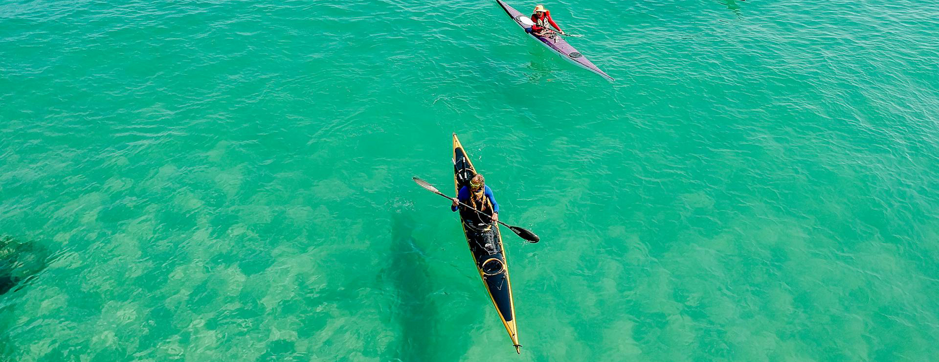 Sports Rowing Gear -Sports Rowing Gear pexels alexander bobrov 390088 1036864